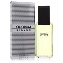 Load image into Gallery viewer, Quorum Silver by Puig Eau De Toilette Spray 3.4 oz (Men)