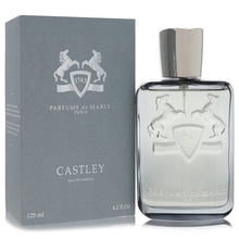Load image into Gallery viewer, Castley by Parfums De Marly Eau De Parfum Spray 4.2 oz (Men)